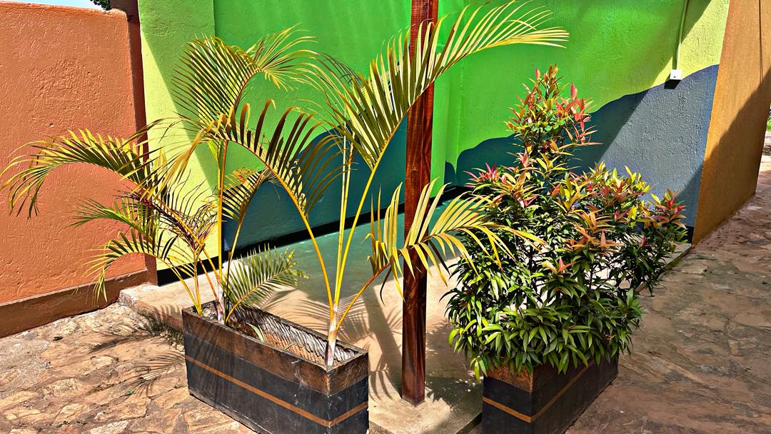 Courtyard greenery at Rubaga
